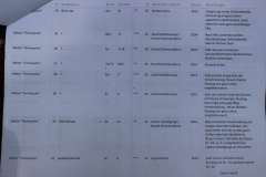 Trattenbach (7)